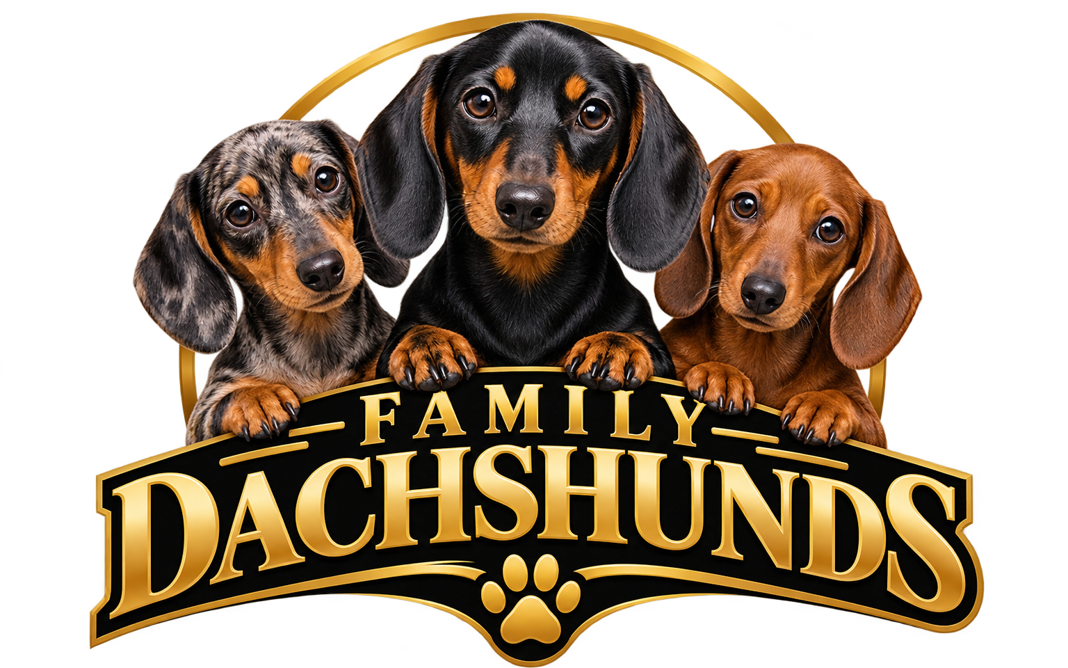 FAMILY DACHSHUNDS